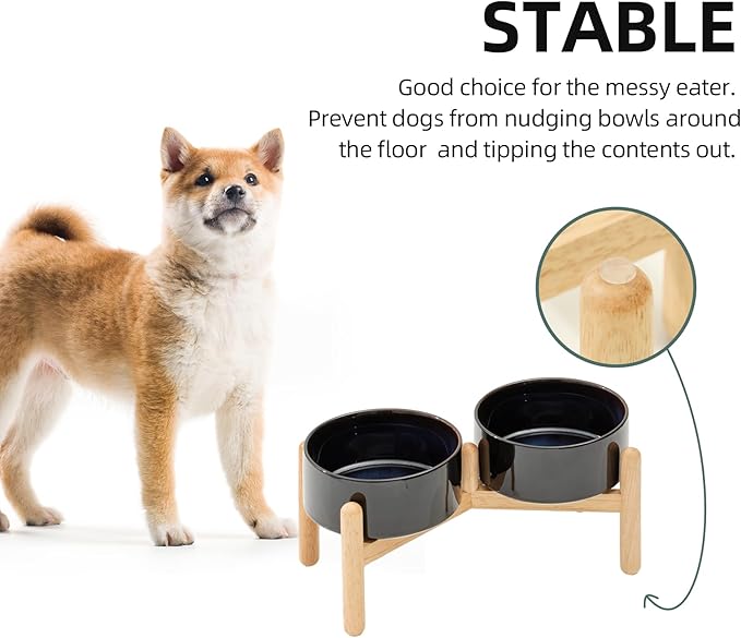 Ceramic 6.1inch Raised Dog Bowl - Image 7