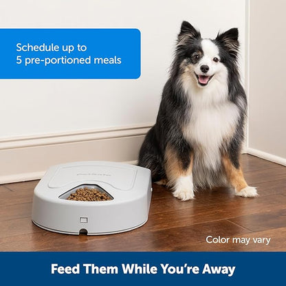 PetSafe Automatic Dog Feeder, 5 Meals, 40 oz Capacity, - Image 4