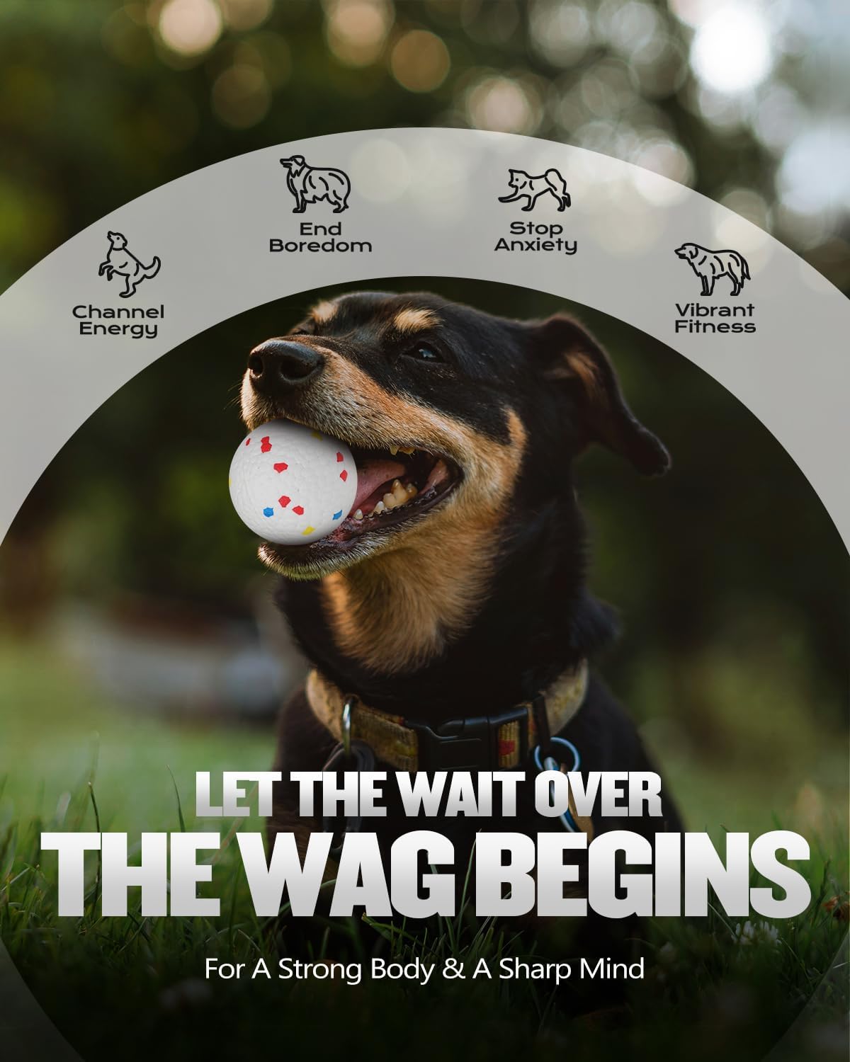 automatic ball thrower for dogs, ball launcher for showing dimensions