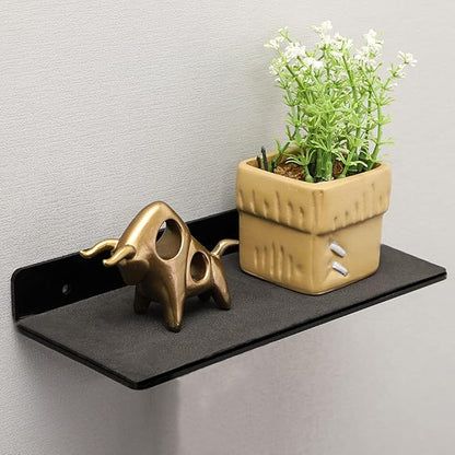 IEEK 4 PCS Small Acrylic Floating Wall Shelves, 9 Inch Adhesive Display Shelf - Image 2
