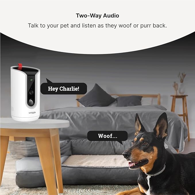 WaggleCam 2K Pet Camera and Treat Dispenser - Image 6