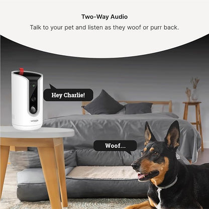 WaggleCam 2K Pet Camera and Treat Dispenser - Image 6