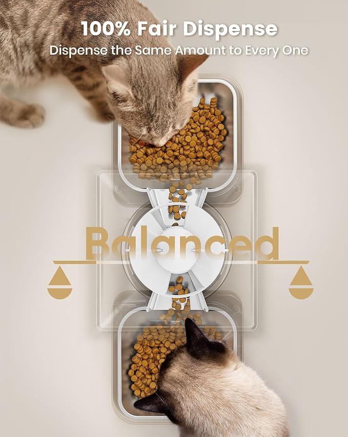 oneisall Automatic Cat Feeder for 2 Cats, 20 Cups/5L Automatic Cat Food - Image 3