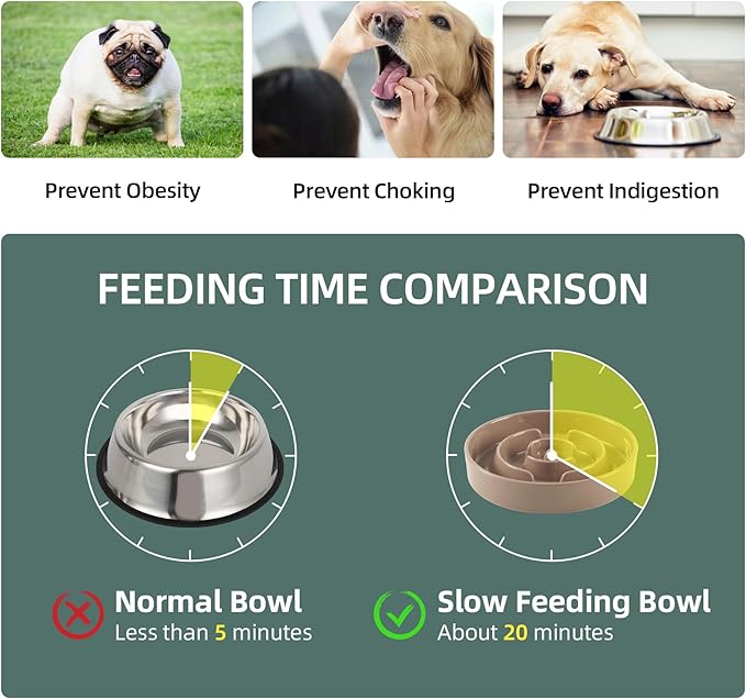 Ceramic 1.2 Cup Raised Slow Feeder Dog Bowl Set, Elevated 6.1inch Bowl and - Image 4