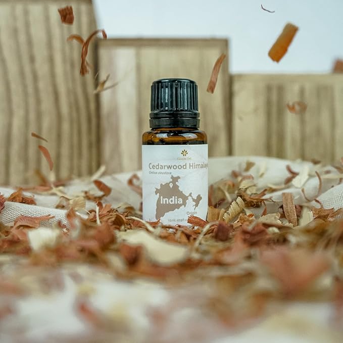 Cedarwood Essential Oil - Image 7