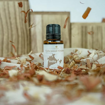 Cedarwood Essential Oil - Image 7
