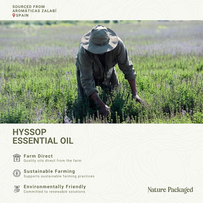 Hyssop Essential Oil - Image 3