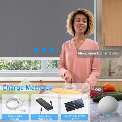 COOLWINDS Motorized Blinds - Image 4