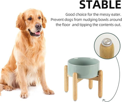 Ceramic 7.3inch Raised Dog Bowl Set, Elevated - Image 6