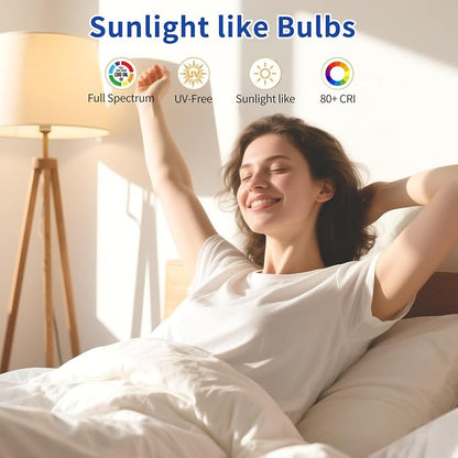 LQ BSDERA 3PK Full Spectrum Light Bulbs, 6000K Natural Light That Mimic Sunlight - Image 3