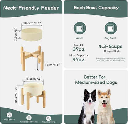 Ceramic 7.3inch Raised Dog Bowl Set, Elevated - Image 2