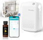 Waterless Essential Oil Diffuser by Monhallnow