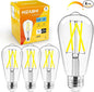 Hizashi LED Edison Bulbs, Equivalent 60W, Dimmable E26 LED Bulb, Daylight 5000K by HIZASHI