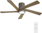 WINGBO 54 Inch Flush Mount DC Ceiling Fan by HomePage