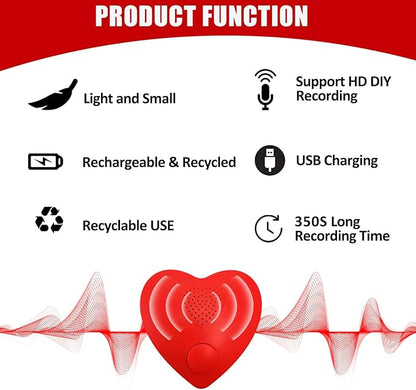 XLW Voice Recorder, 350s Voice Box - Image 6