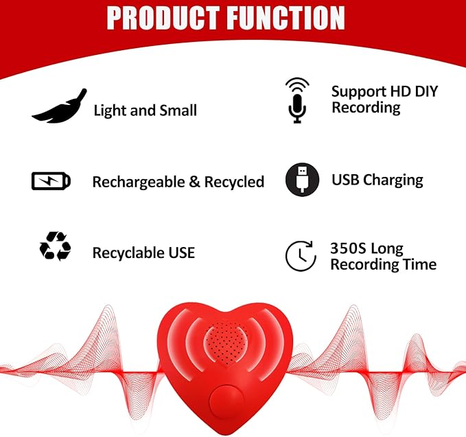 Voice Recorder, XLW 350s Voice Box - Image 5