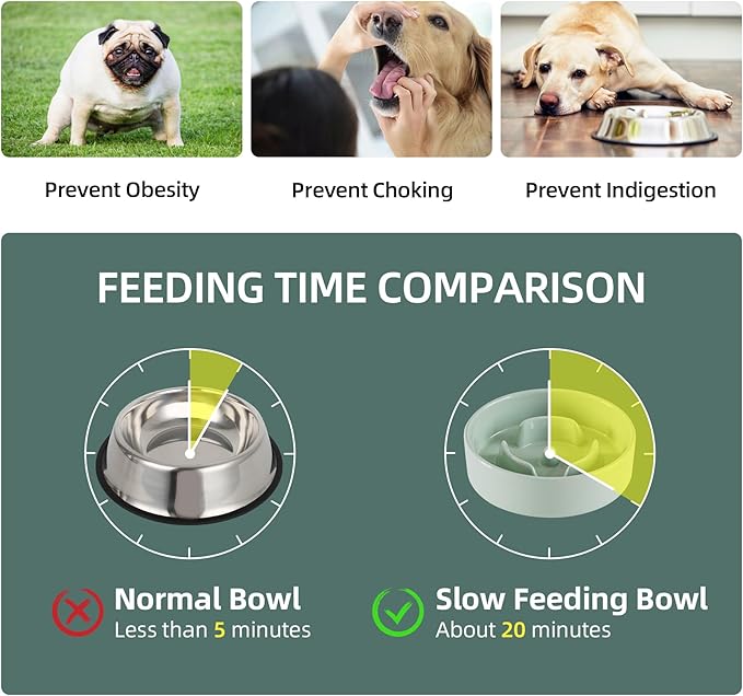 Ceramic 0.9 Cup Dog Bowl Slow Feeder - Image 4