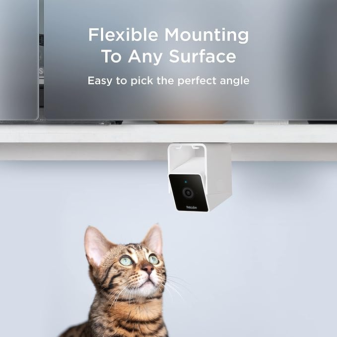 Petcube Cam | Indoor Wi-Fi Pet and Security Camera - Image 6