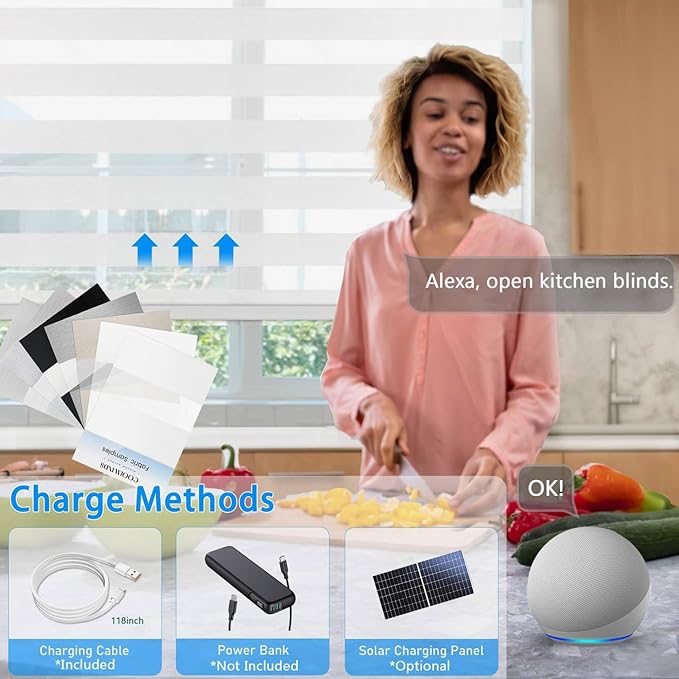 COOLWINDS Motorized Zebra Blinds - Image 4