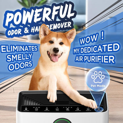 air purifiers for home large room up to shown in use