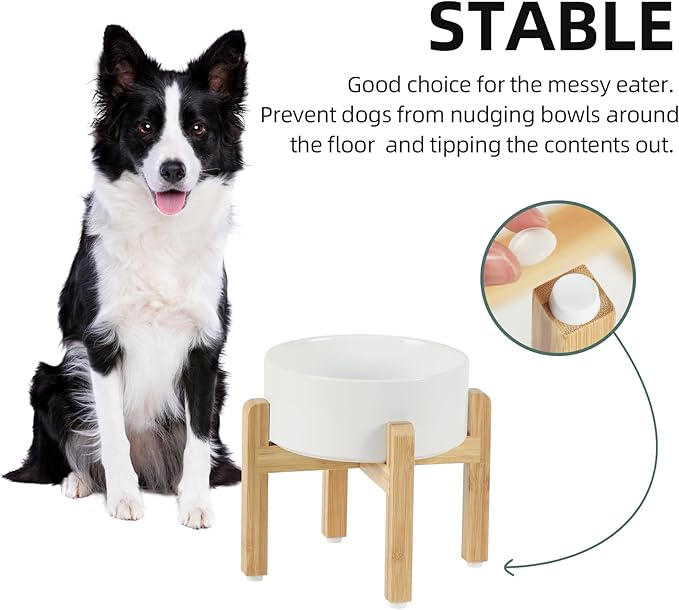 Ceramic Raised Dog Bowl Set, Elevated - Image 6