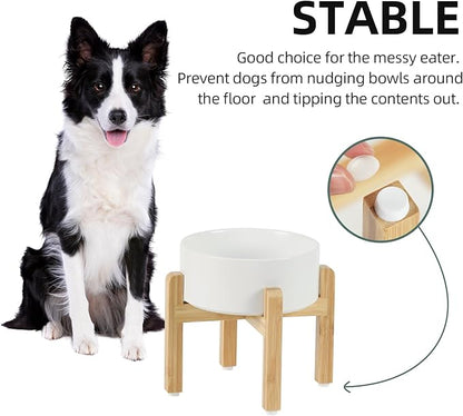 Ceramic Raised Dog Bowl Set, Elevated - Image 6
