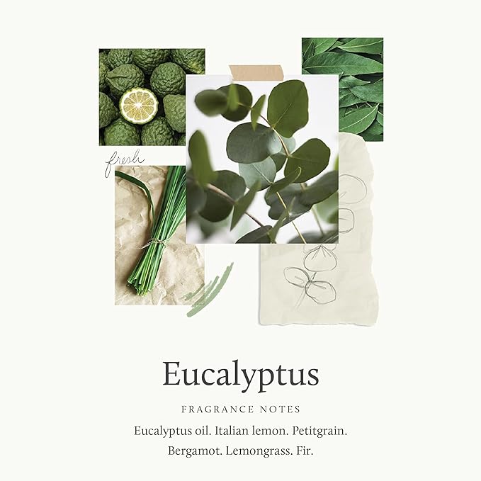 Thymes Eucalyptus Pura Smart Home Plug-in Diffuser Refills - Image 3