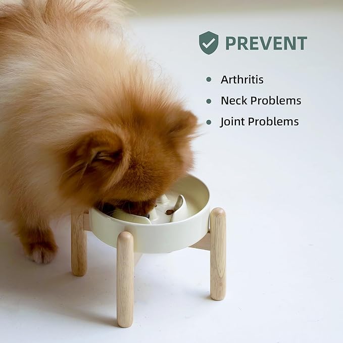 Ceramic 0.9 Cup Raised Dog Slow Feeder Set, Elevated Bowl - Image 5