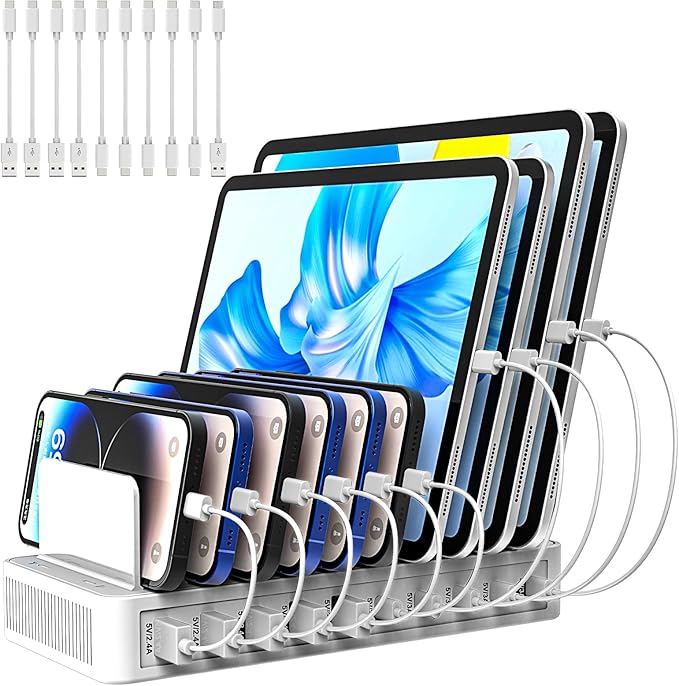 RISWOJOR Charging Station for Multiple Devices, 100W 10 Ports Charging Dock by RISWOJOR