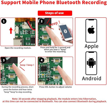Bluetooth & MIC Recording Audio Sound Module, 8MB Voice Chips - Image 4