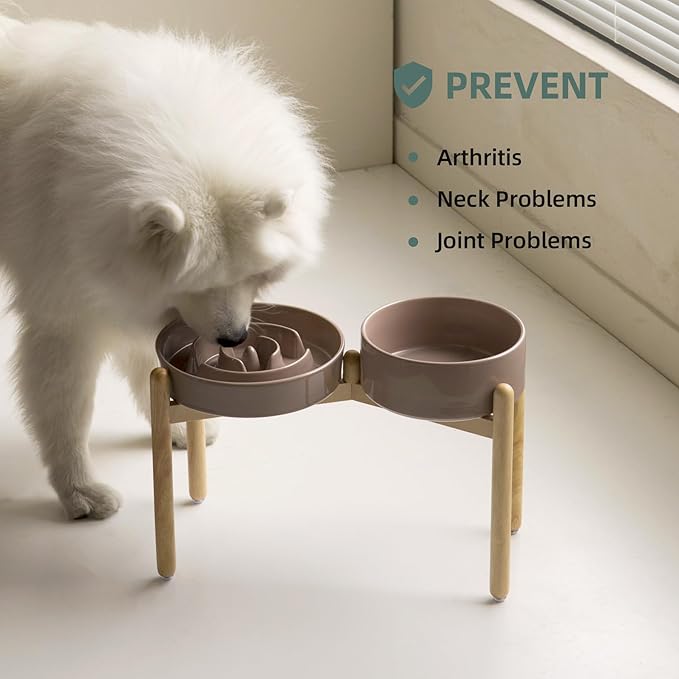 3.2 Cup Ceramic Raised Slow Feeder Dog Bowl Set, Elevated 8.2inch Bowl and - Image 5