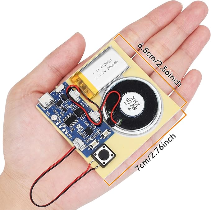 2PCS Sound Recorder Module DIY Music Voice Recording Module Chip - Image 9