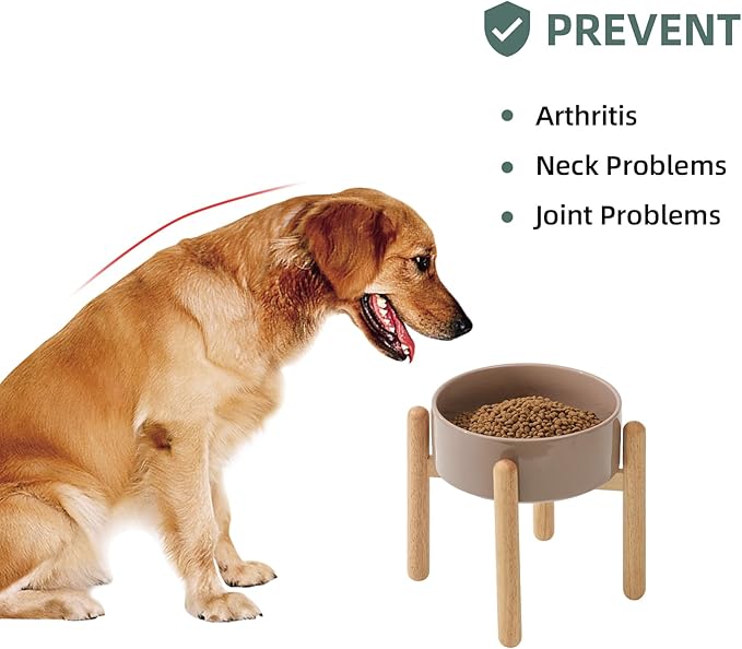 Ceramic 8.2inch Raised Dog Bowl - Image 5