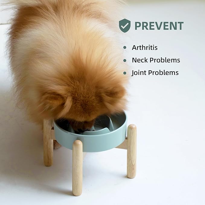 Ceramic 0.9 Cup Raised Dog Slow Feeder Set, Elevated Bowl - Image 5