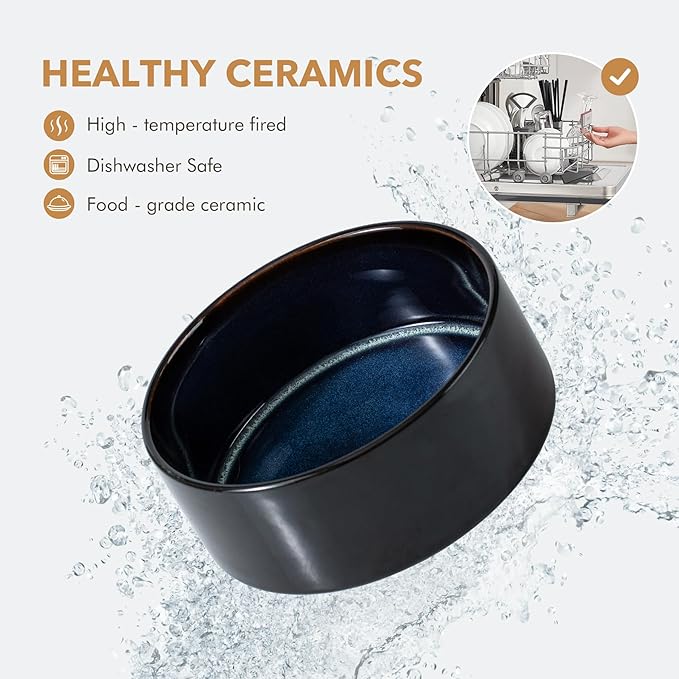 Ceramic 8.2inch Raised Dog Bowl Set, Elevated - Image 5