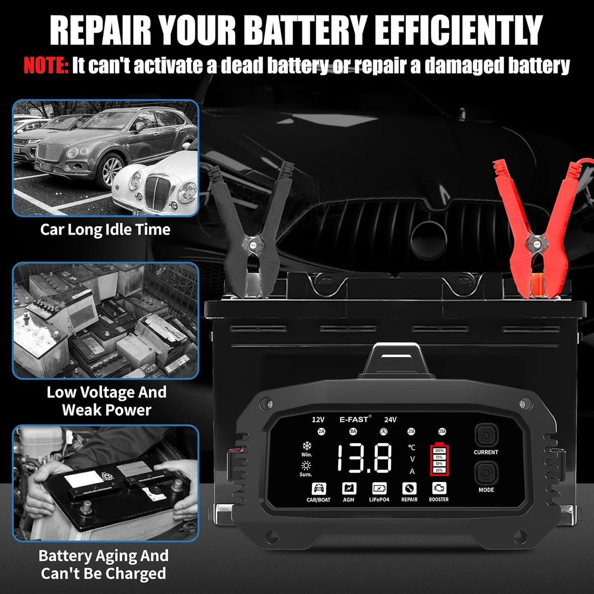 E-FAST 25A Smart Car Battery Charger, 12V/24V Automatic Automotive Battery Ma...