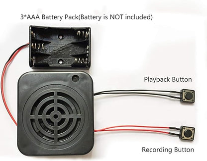 Voice Recording Greeting Module, Voice Recording Playback Module Sound - Image 2