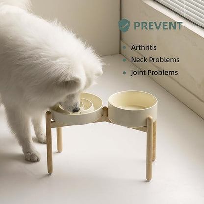 3.2 Cup Ceramic Raised Slow Feeder Dog Bowl Set, Elevated 8.2inch Bowl and - Image 5