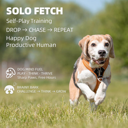 automatic dog ball launcher-small silent dog ball thrower shown in use