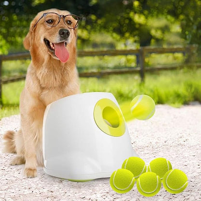 ALL FOR PAWS Automatic Dog Ball Launcher for Medium to Large Dogs, Interactive by Home