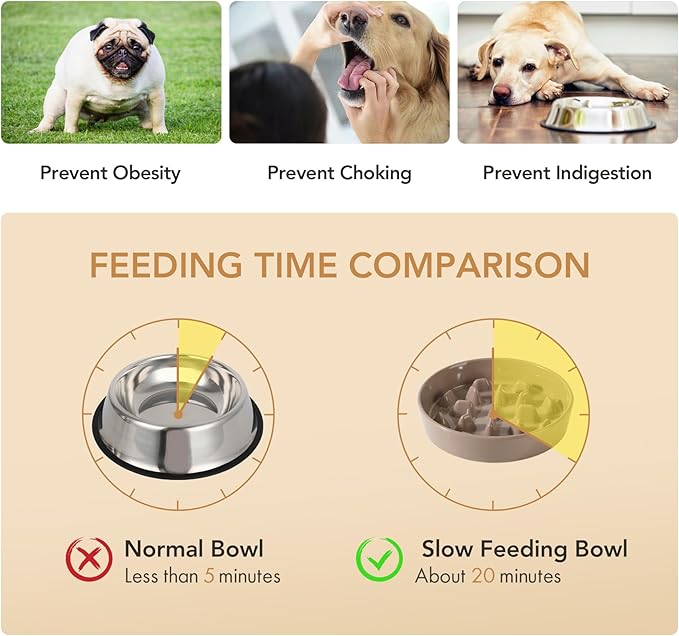 Ceramic 3.2 Cup Raised Slow Feeder Dog Bowl Set, Elevated 8.2inch Bowl and - Image 5