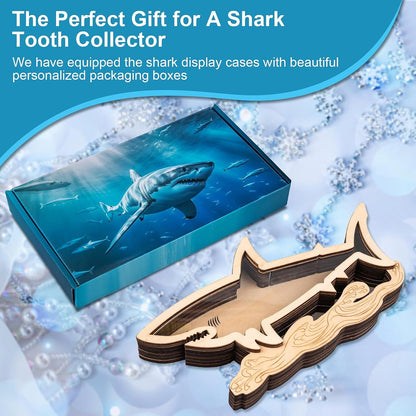 Shark Tooth Display Case 8.7 Inch,Wooden Shark Tooth Holder,Wood Shark Tooth Shadow Box,Shark-Shaped Display for Shark Tooth Collectors,Gifts for Vacation Beach Home Decor