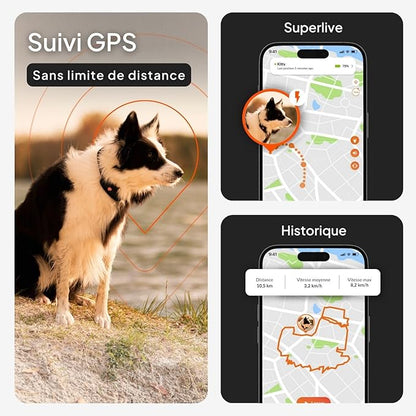 Weenect Dog XT - New GPS Collar - Image 3