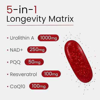 Urolithin A Supplement with NAD, Resveratrol, PQQ – 5-in-1 Longevity Complex to - Image 2
