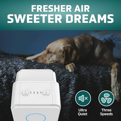 GermGuardian Air Purifier for Homes - Image 3