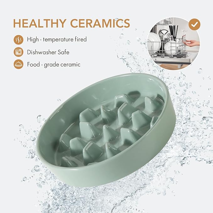 Ceramic 3.2 Cup Raised Slow Feeder Dog Bowl Set, Elevated 8.2inch Bowl and - Image 4