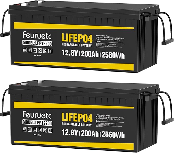 12V 200Ah Lithium LiFePO4 Battery, Built-in 200A BMS, 2560Wh Energy Storage by Saveupto50onFeuruetc