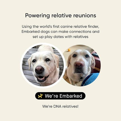 Embark Breed & Health Kit - Image 5