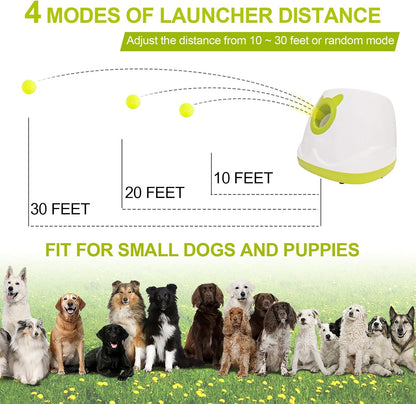 besthls automatic dog ball launcher tennis ball thrower shown in use