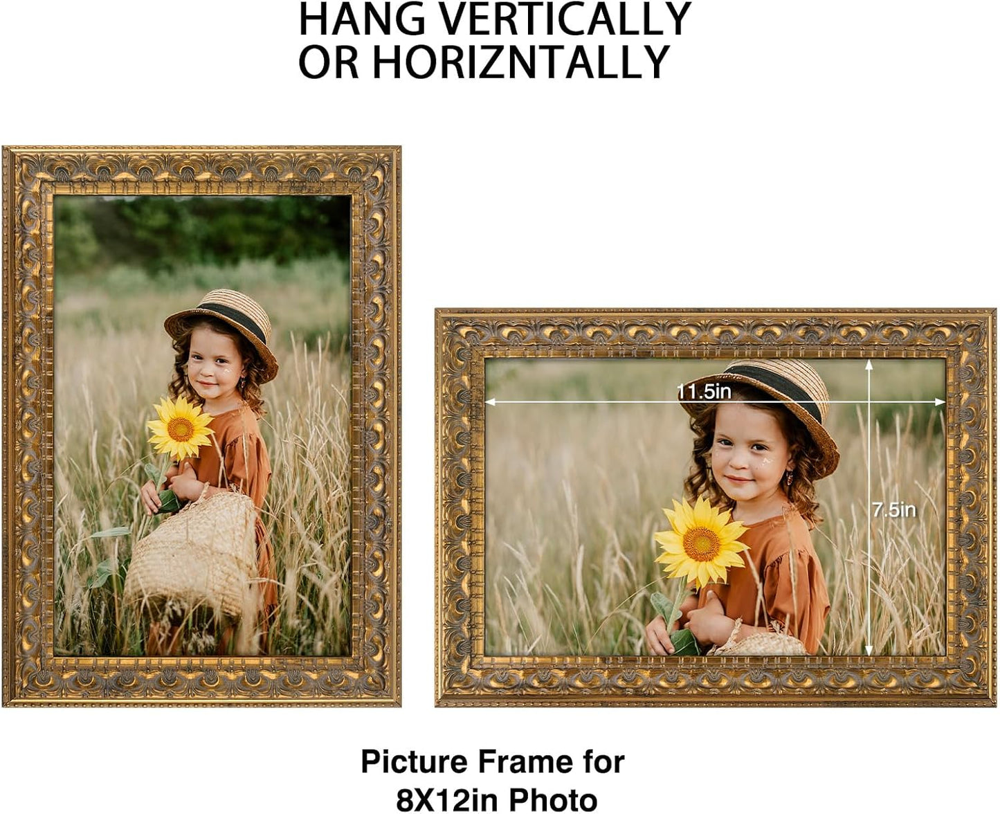 Frametory 8x12 Poster Picture Frame Real Glass Bronze Gold | Wall Mount Display, Great for Wedding, Poster, Engagement Photographs, Photo